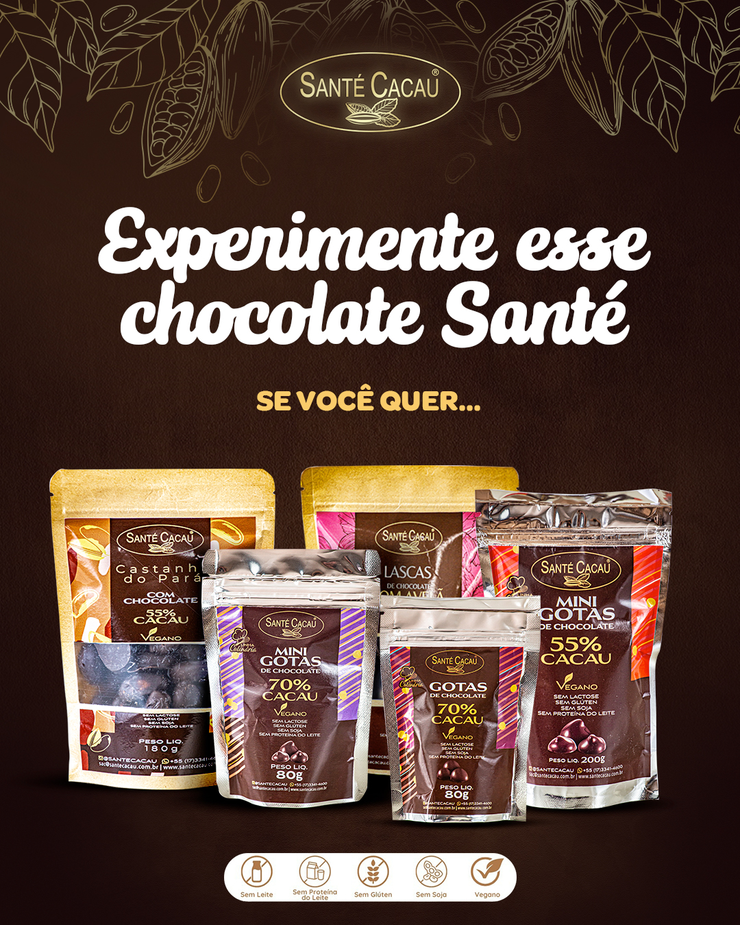 Chocolate Vegano e Sem Lactose Chocolates Vegano